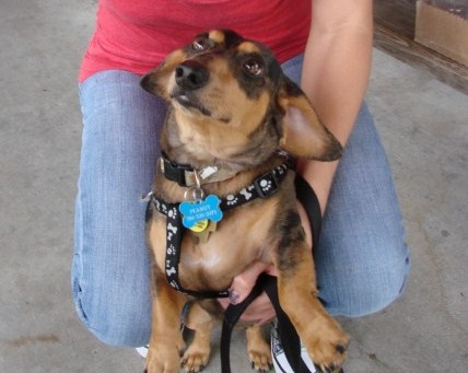 Halloween - 2010 042.JPG